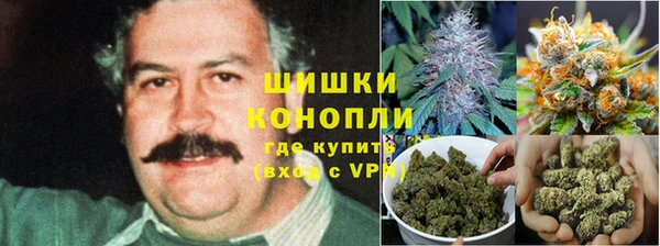 соль ск Лагань