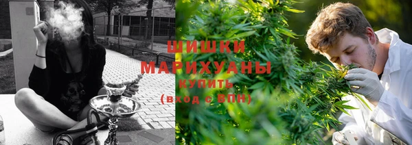 гашик Лабытнанги