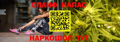 мдпв Донецк