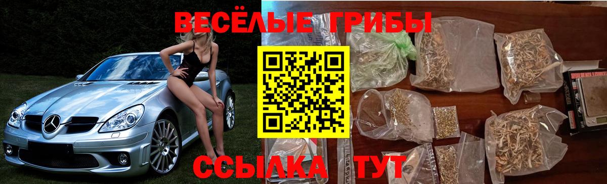 Псилоцибиновые грибы Psilocybine cubensis  Вход с VPN  наркотики  Ипатово 