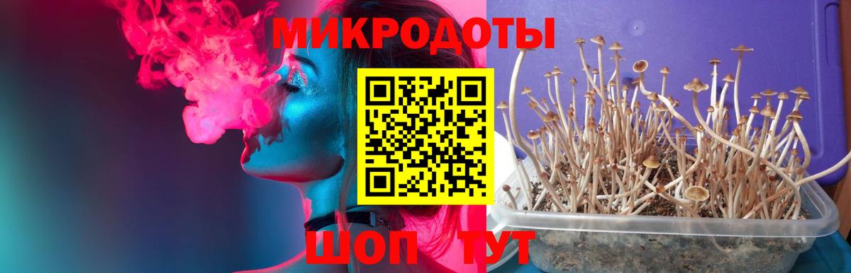 Галлюциногенные грибы Ипатово